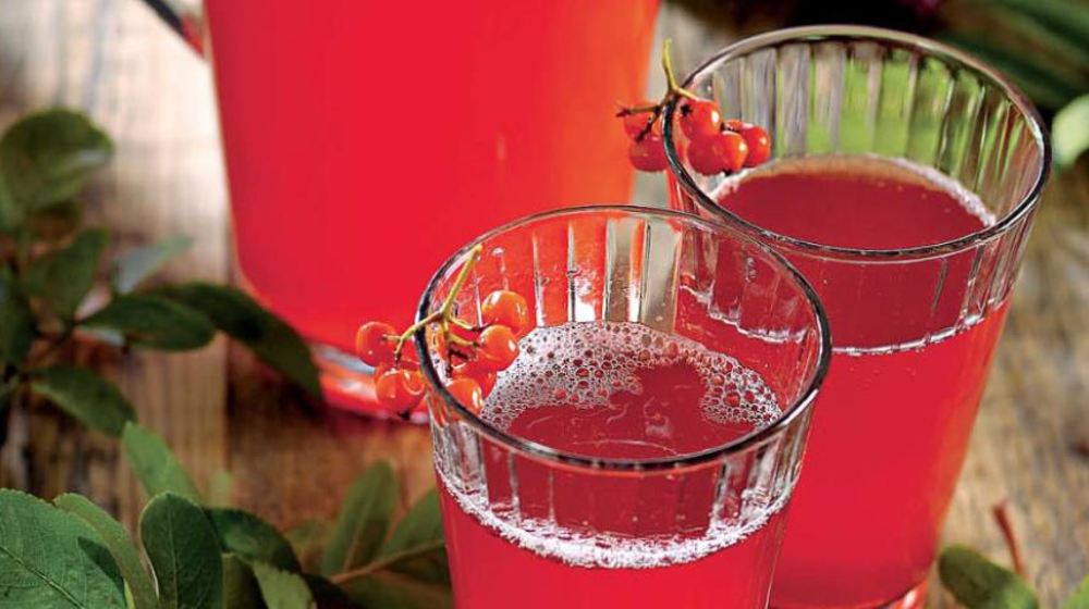 Как приготовить морс из черноплодной рябины с медом