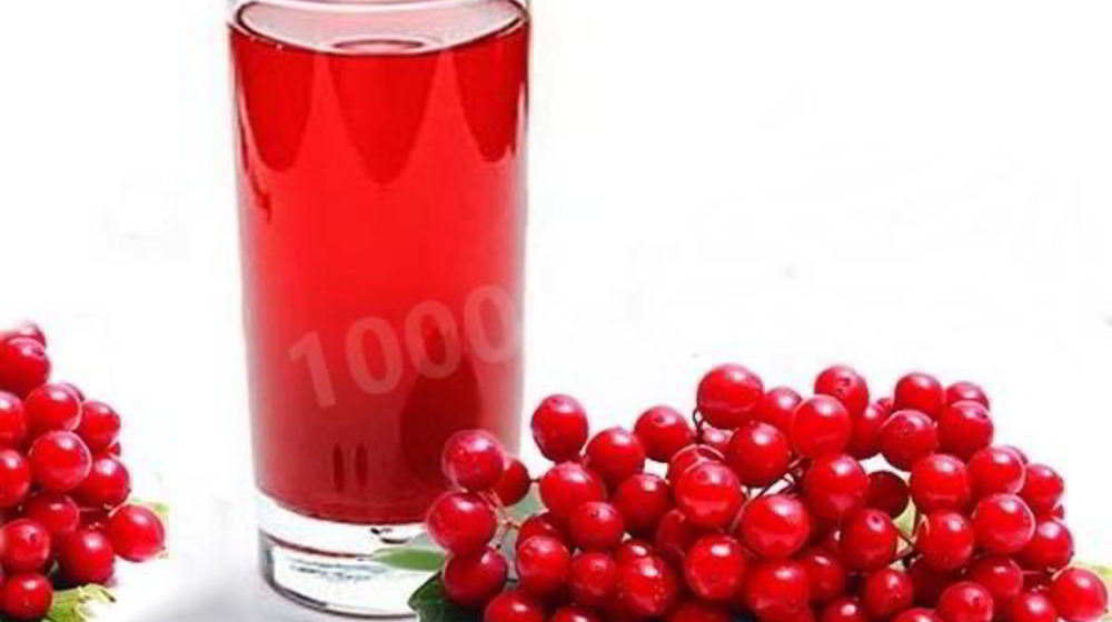 Как приготовить морс из калины