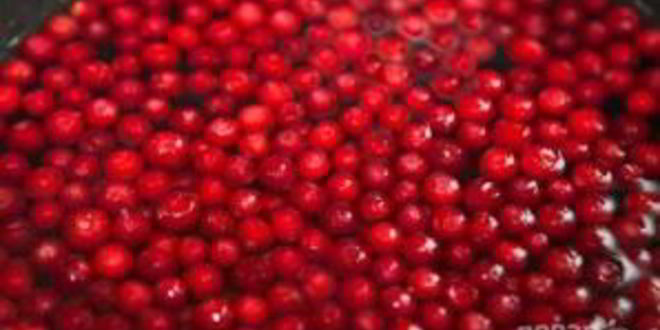 Рецепт морса из замороженных ягод