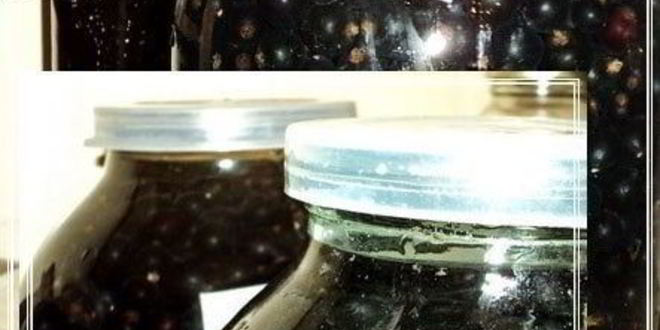 Рецепт наливки черносмородиновой