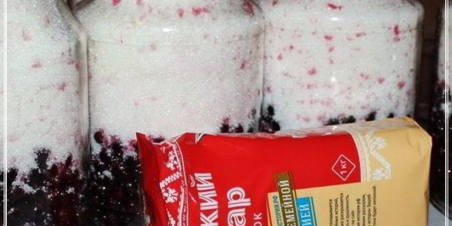 Рецепт наливки черносмородиновой