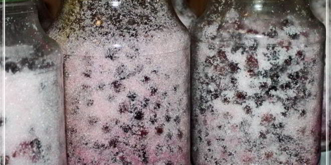 Рецепт наливки черносмородиновой