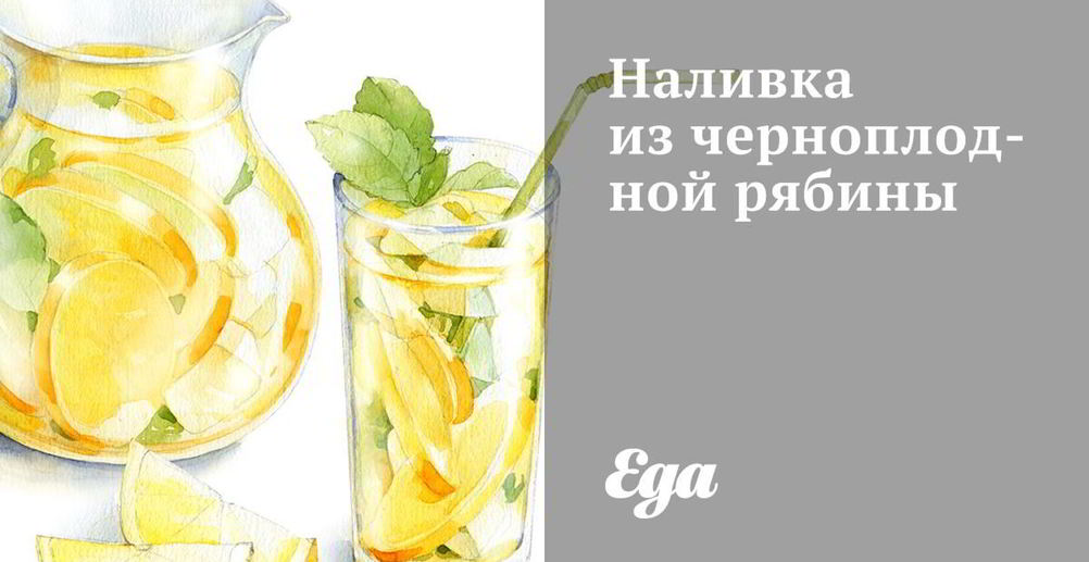 Рецепт черноплодную наливку из рябины