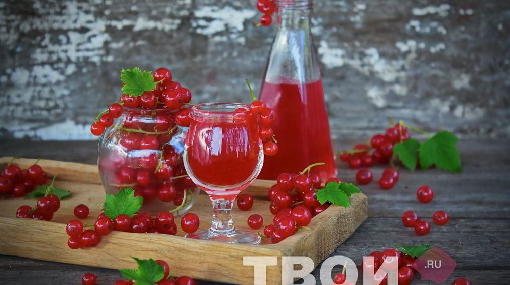 Как приготовить наливку из красной смородины