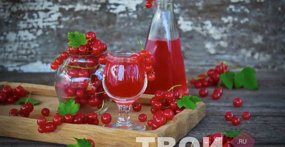 Рецепт наливку из смородины