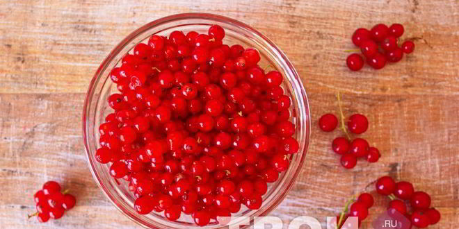 Рецепт наливки из красной смородины