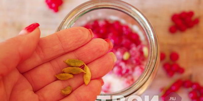 Рецепт наливки из красной смородины