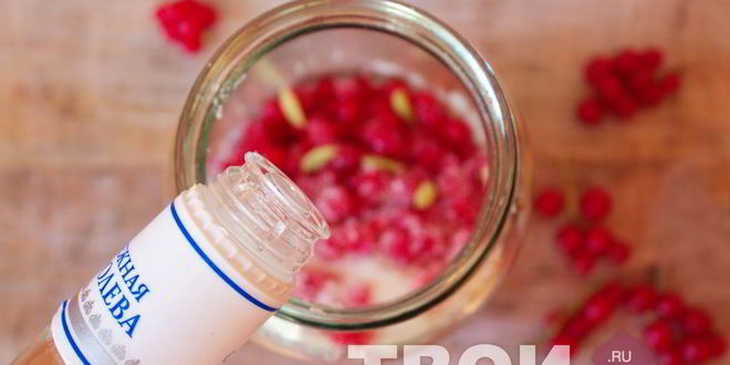 Рецепт наливки из красной смородины