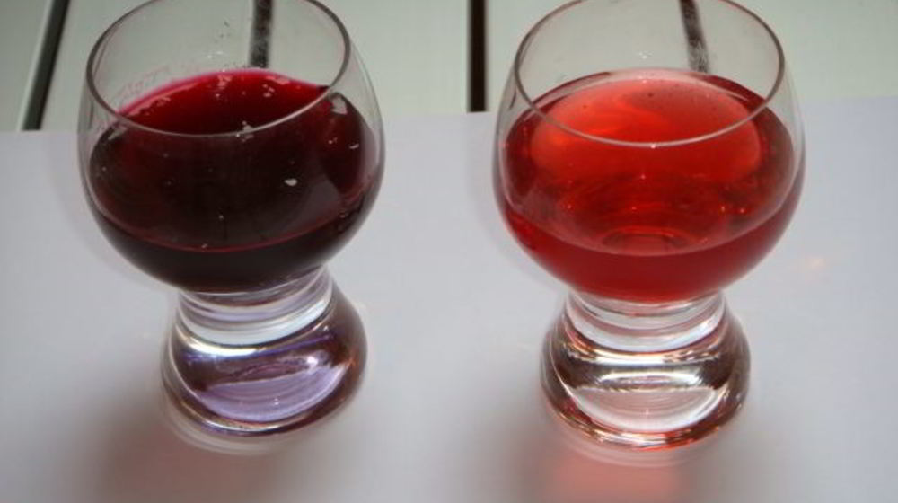 Как приготовить наливку из крыжовника и черной смородины