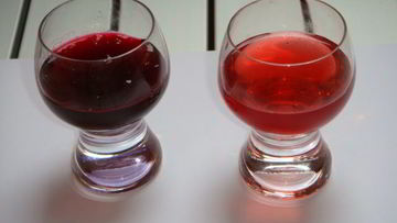 Рецепт Наливки из крыжовника и черной смородины