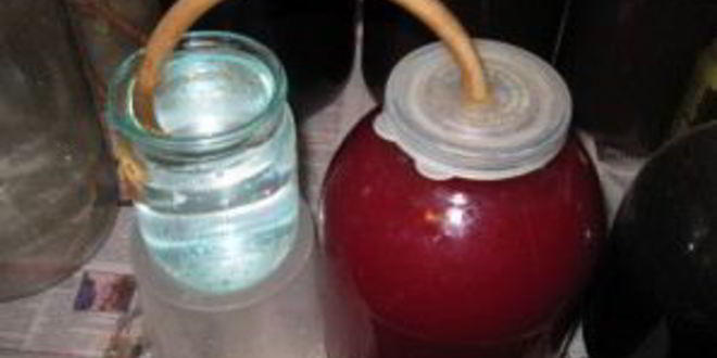 Рецепт наливки из крыжовника и черной смородины