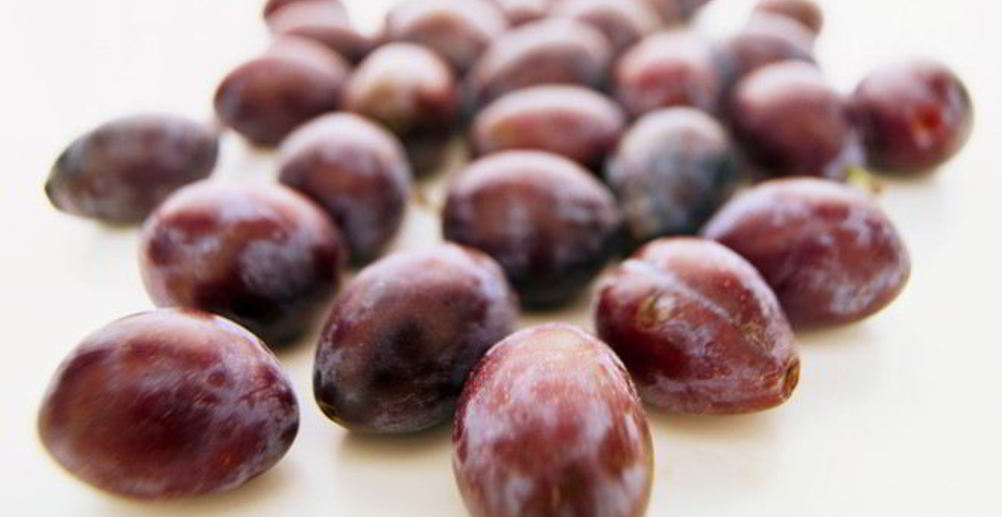 Рецепт наливку из слив сливовица