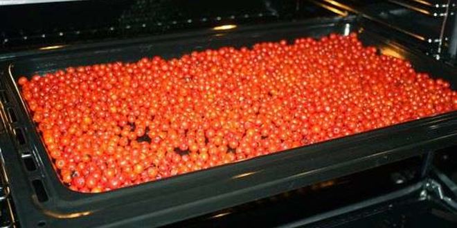 Рецепт рябиновой наливки