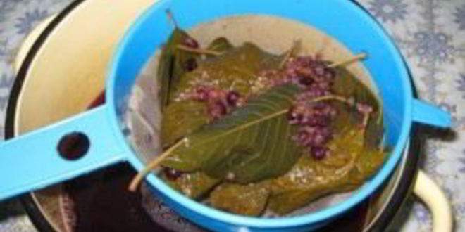 Рецепт смородиновой наливки