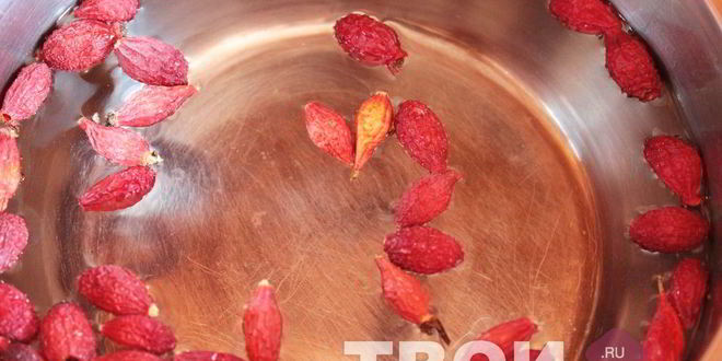 Рецепт напитка из шиповника