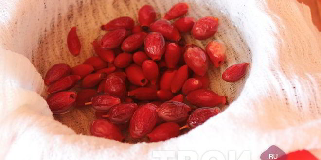 Рецепт напитка из шиповника