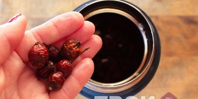 Рецепт напитка из шиповника