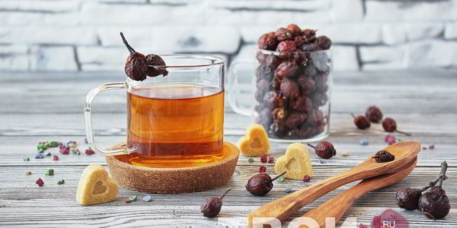 Рецепт напитка из шиповника