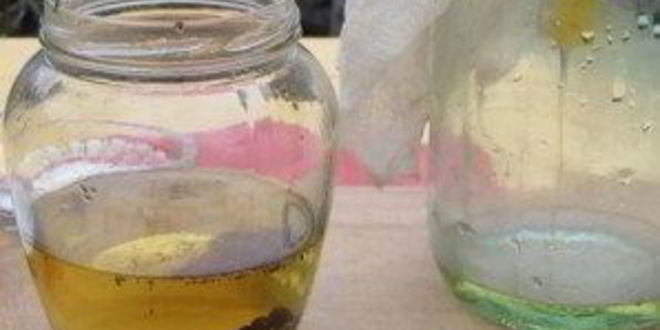 Рецепт анисовой настойки на самогоне