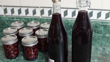 Рецепт Домашней настойки на вишне на самогоне