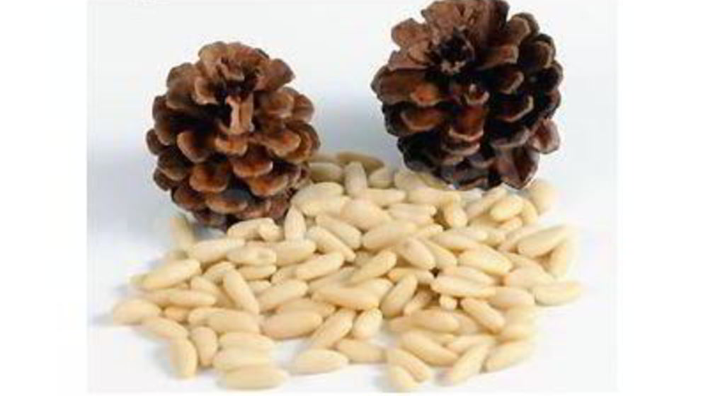 Как приготовить кедровую настойку на орехах