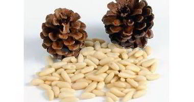 Рецепт Кедровой настойки на орехах