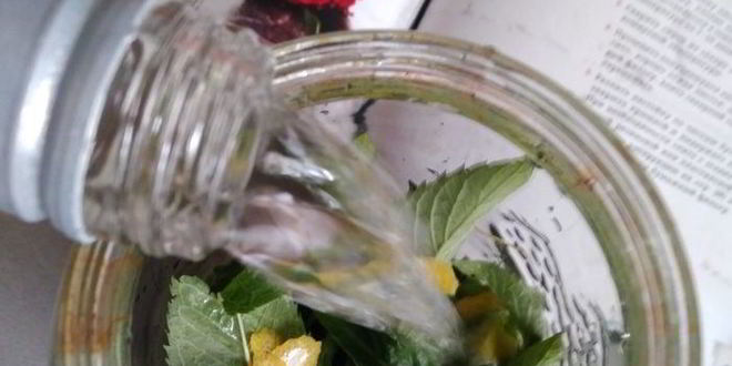 Рецепт мятной настойки