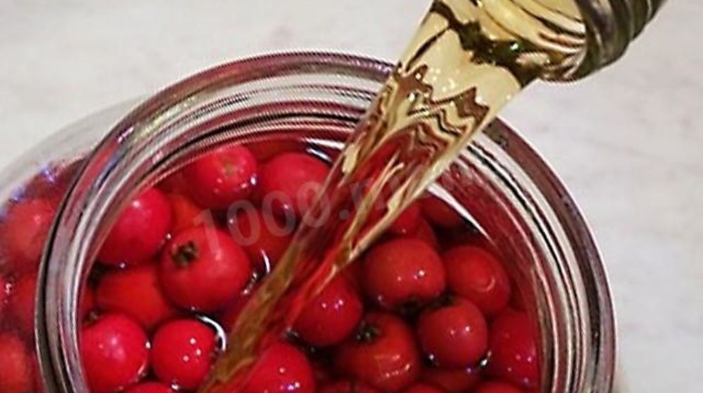 Как приготовить настойку из ирги на водке