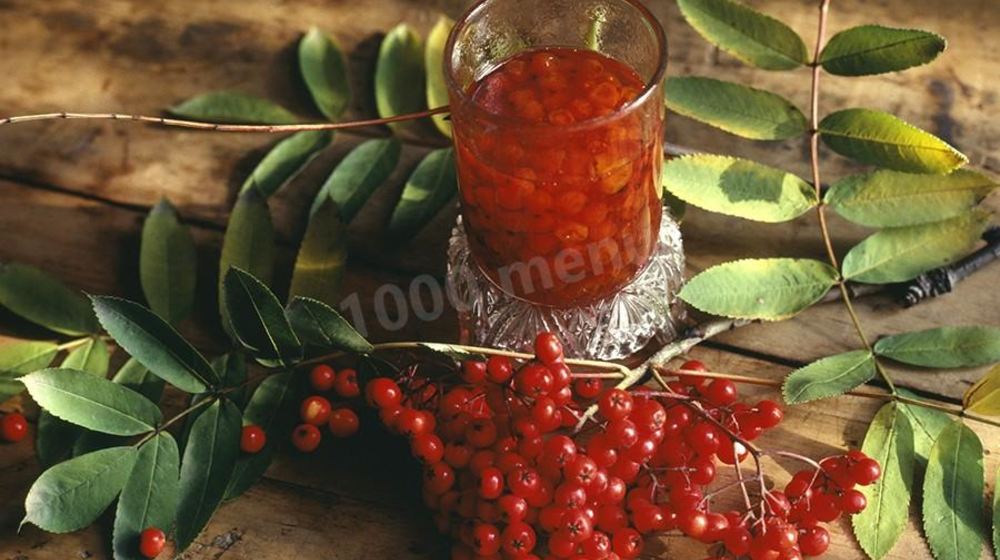 Как приготовить настойку из красной рябины
