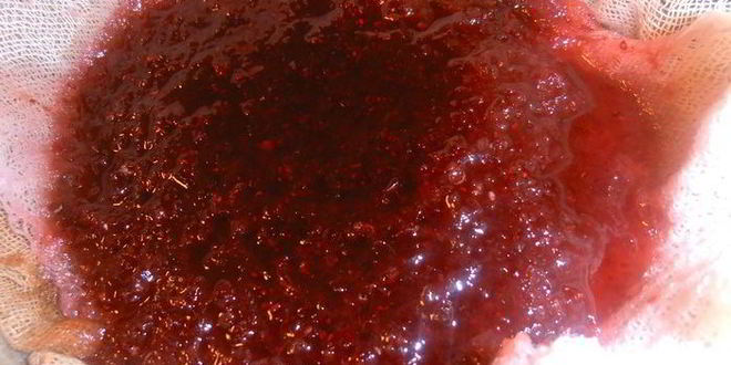 Рецепт настойки клюковка