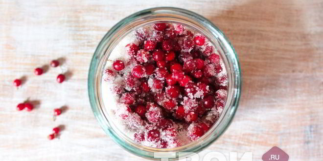 Рецепт настойки на бруснике