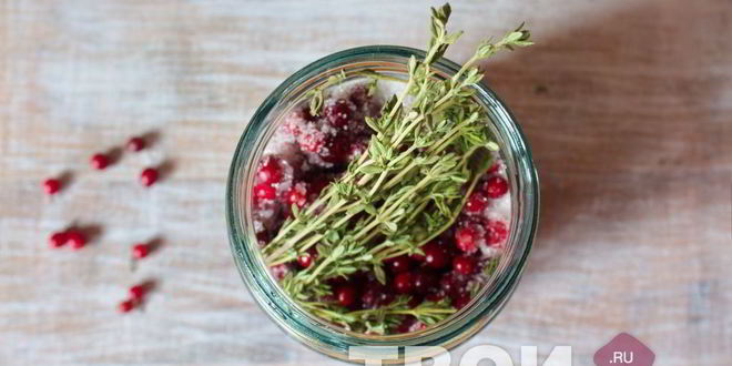 Рецепт настойки на бруснике