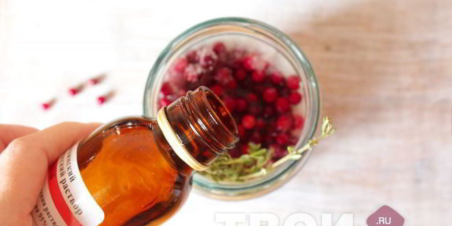 Рецепт настойки на бруснике