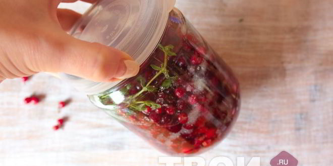 Рецепт настойки на бруснике