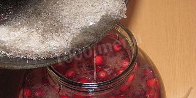 Рецепт настойки на северной клюкве