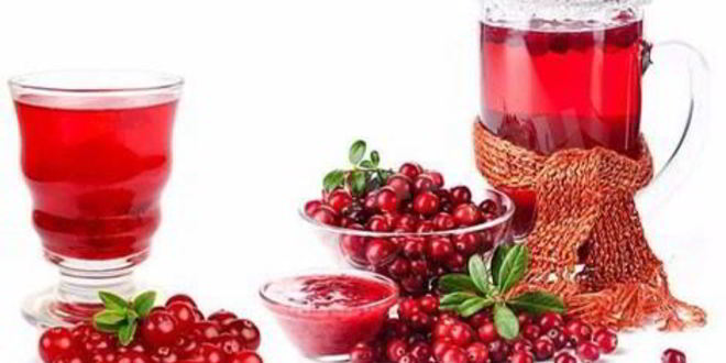 Рецепт настойки на северной клюкве