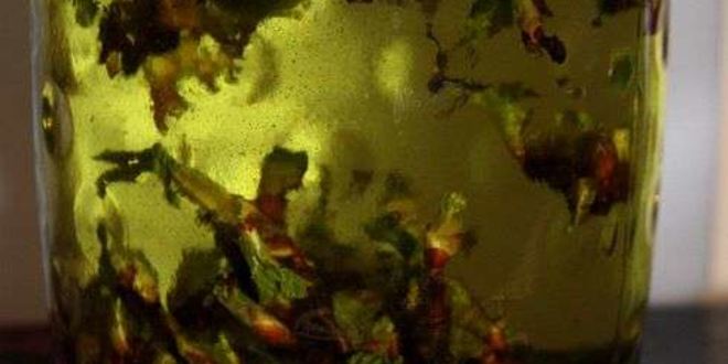 Рецепт настойки на смородиновых почках