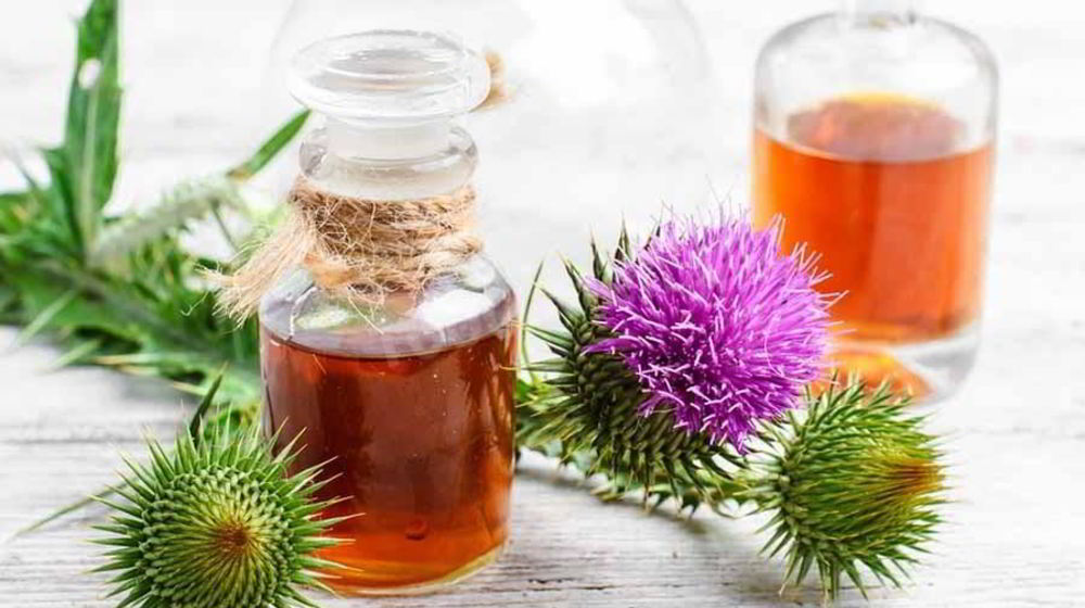 Как приготовить настойку расторопши