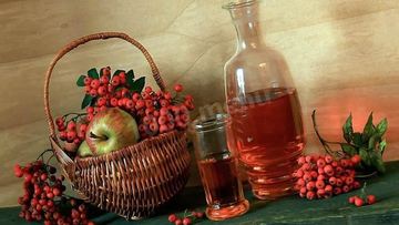 Рецепт Настойки рябина на коньяке