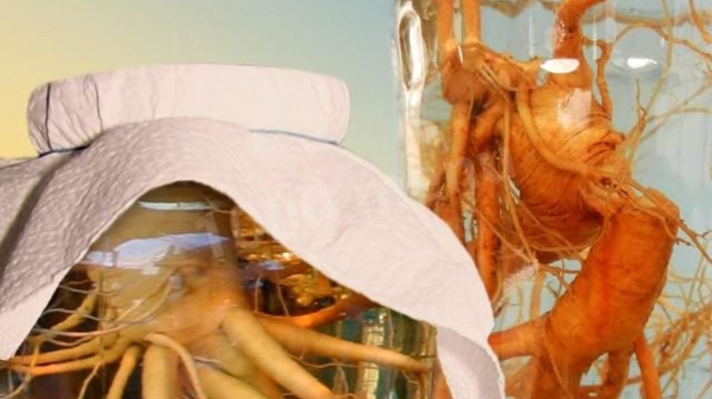 Как приготовить настойку женьшеня