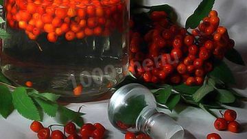 Рецепт Рябиновой настойки из рябины на водке