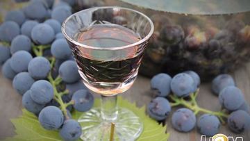 Рецепт Виноградной настойки Пряно-пьяная Изабелла