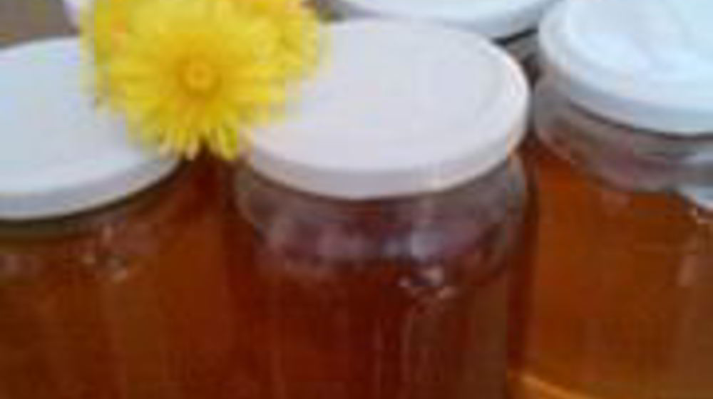 Как приготовить сироп из одуванчиков