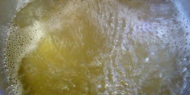 Рецепт сливы, замороженной в сахарном сиропе