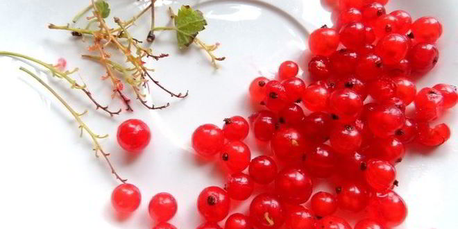 Рецепт смородинового смузи