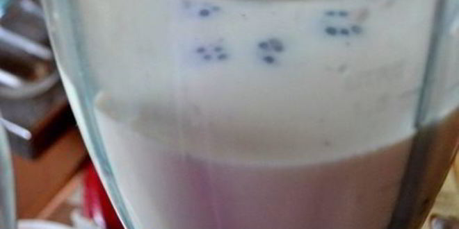 Рецепт смузей ореховый с ежевикой