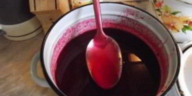 Рецепт сока из калины