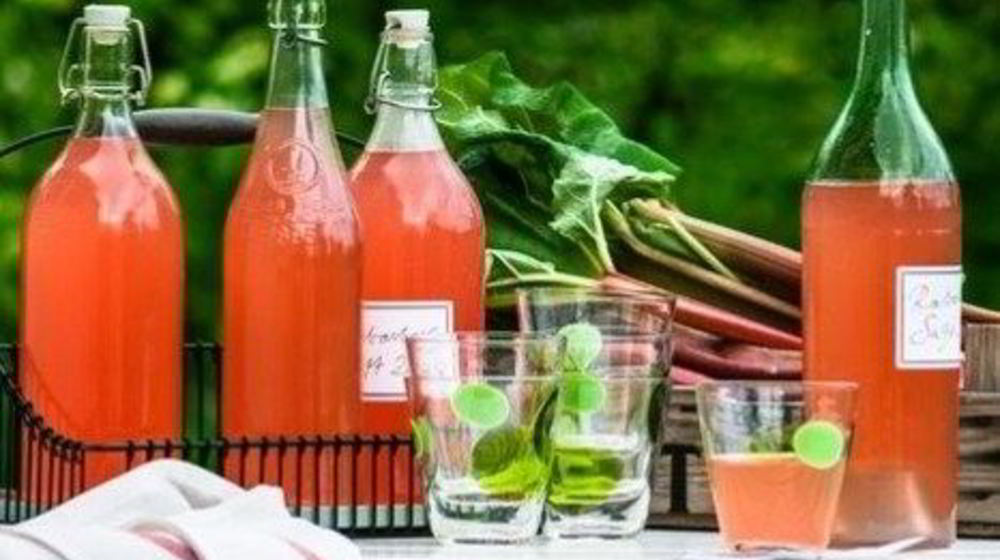 Как приготовить сок из ревеня