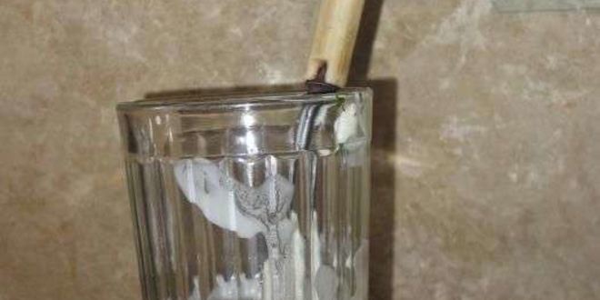 Рецепт томатного сока со специями