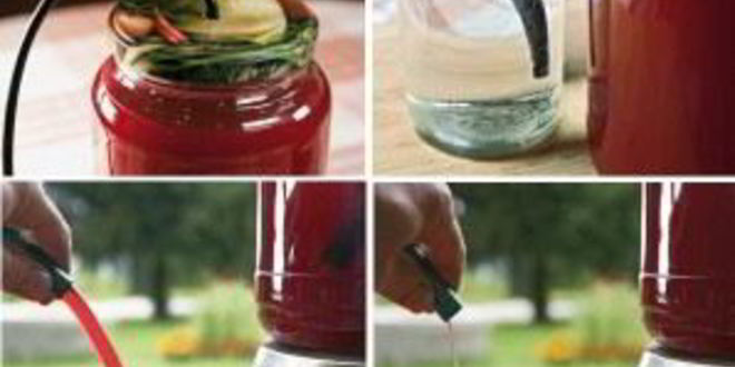 Рецепт вина из малины